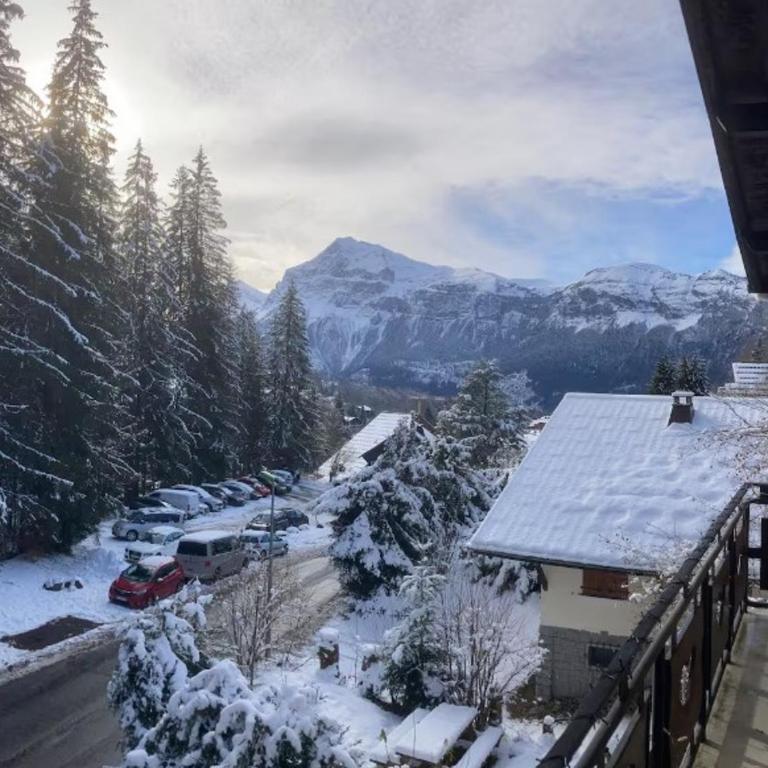 Chalet cosy - 10 pers. - FR-1-836-72 - Chalet - 17