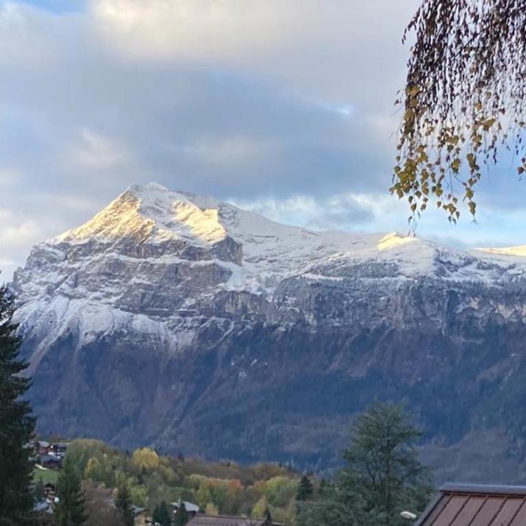 Chalet cosy - 10 pers. - FR-1-836-72 - Chalet - 18