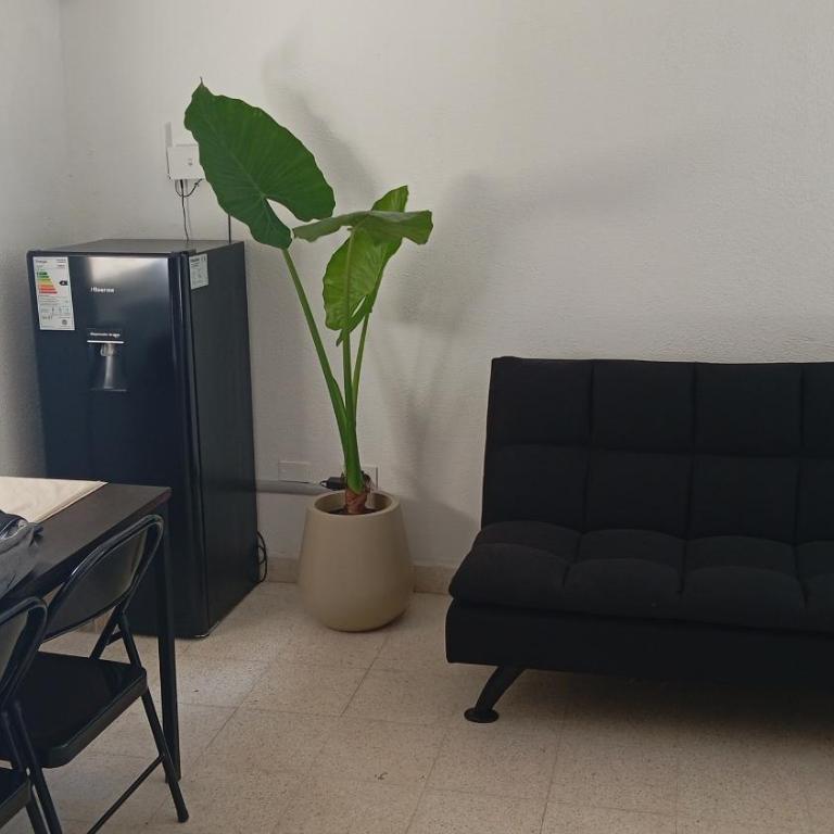 La Martina temporario - Apartamento de 1 dormitorio - 2