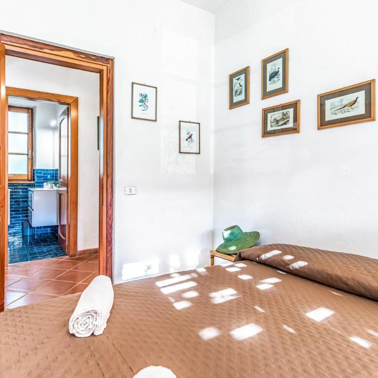 Lu Maggiu - Happy Rentals - Appartamento - Piano Terra - 24