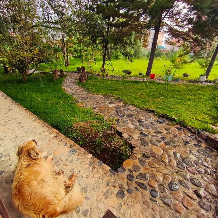 Linda casa rodeada de naturaleza - Casa de 2 dormitorios - 10