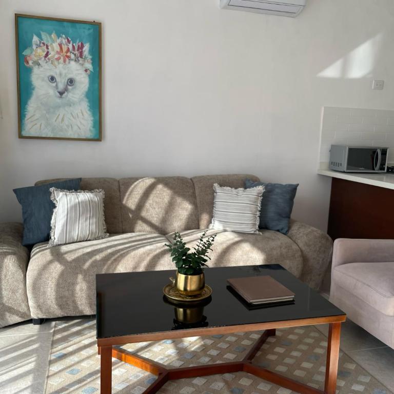Casa DOS21 Boutique Apartments Playa Sur - One-Bedroom House - 9