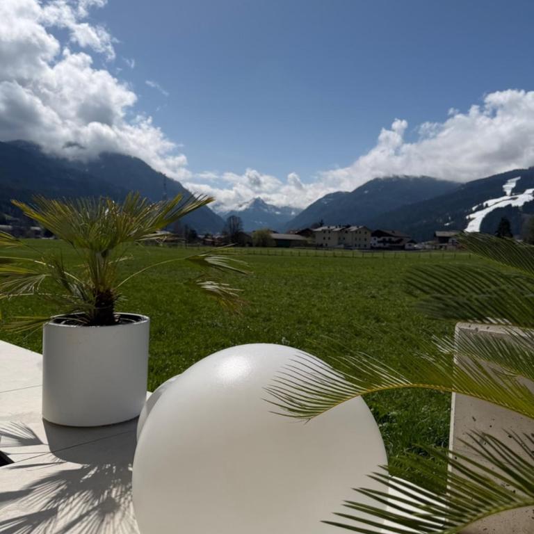 Alpen Sky Suite Flachau - Penthouse-Apartment mit 4 Schlafzimmern - 15