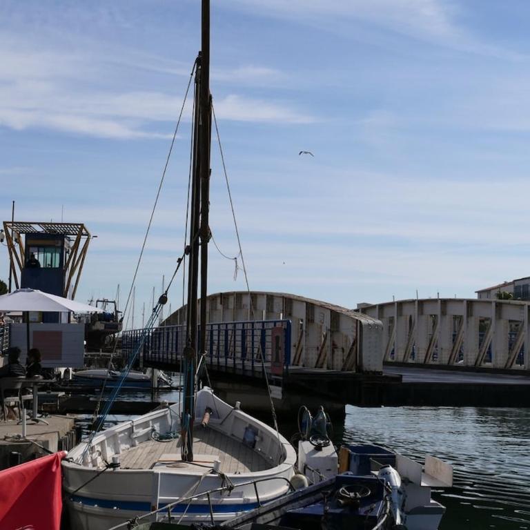 Nid camarguais les pieds dans l eau - Klassisches Apartment mit 1 Schlafzimmer und Kingsize-Bett - 5