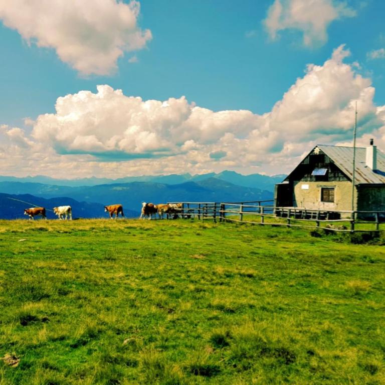 Alpine Holiday Home in Lungau - Maison de Vacances 3 Chambres - 13
