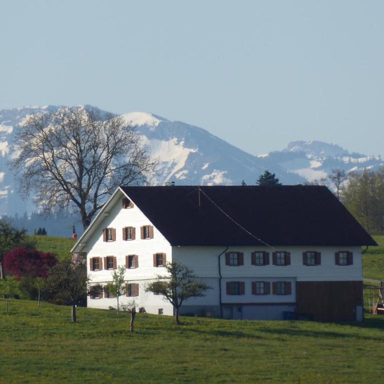 Landhaus Spieler - Appartamento con 1 Camera da Letto - 1