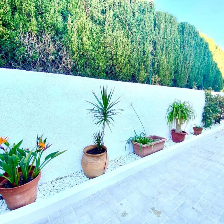 Casa Verde - Casa de 2 dormitorios - 19