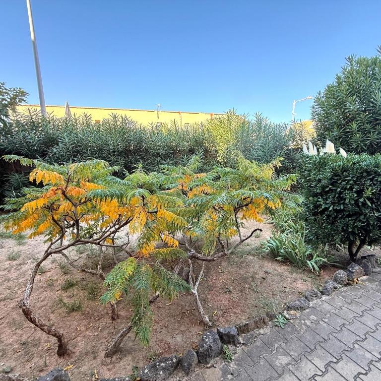 Le Perchoir Marin - Marseillan - Plage à 100m à pied - parking privé - Appartement 2 Chambres - 22
