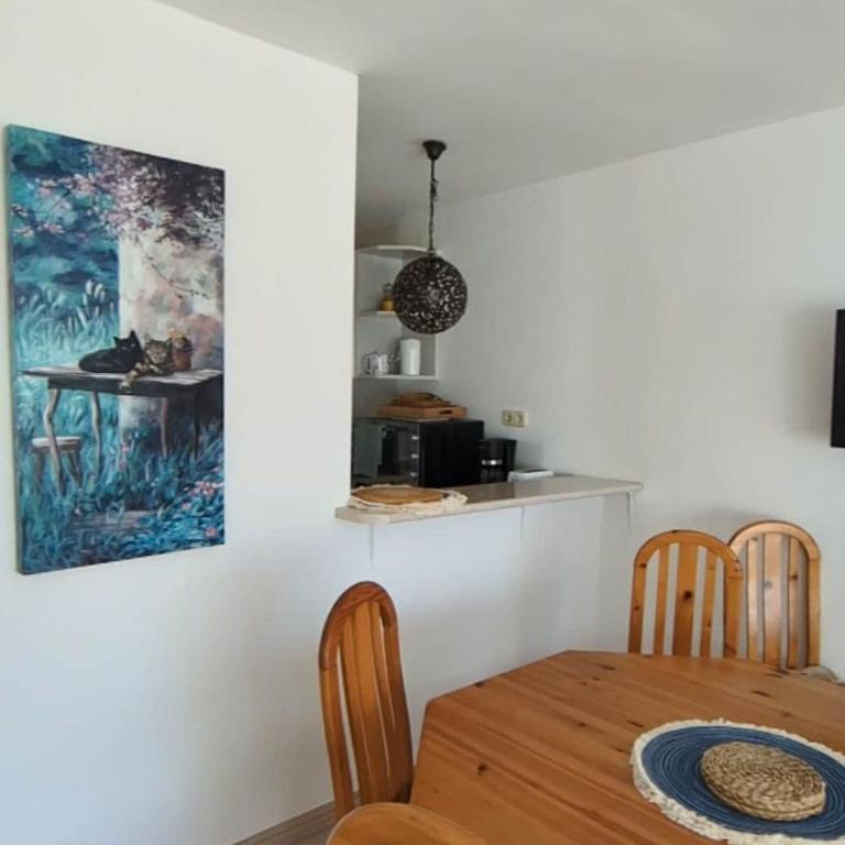 Independent apartment with pool - Apartamento de 1 dormitorio - 7
