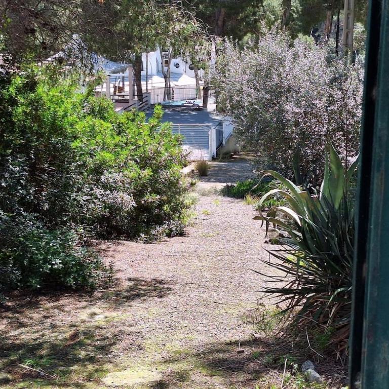 Independent apartment with pool - Apartamento de 1 dormitorio - 12
