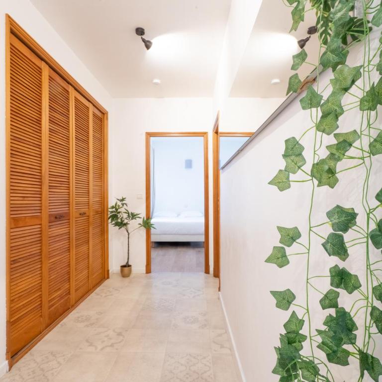 Riviera Sunshine - Appartement - 66