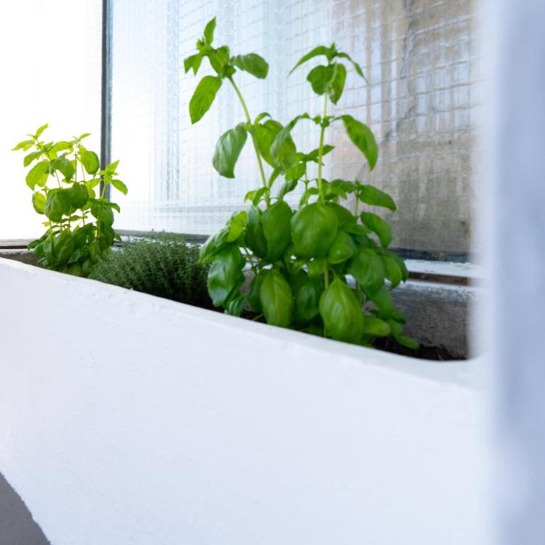Riviera Sunshine - Appartement - 36