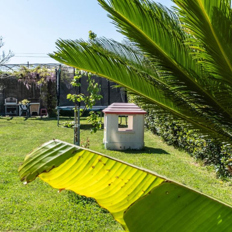Agriturismo Giorgi appartamenti in Riviera Ligure - Appartamento - Piano Terra - 13