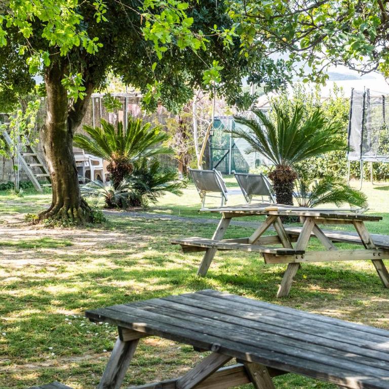 Agriturismo Giorgi appartamenti in Riviera Ligure - Appartamento - Piano Terra - 10
