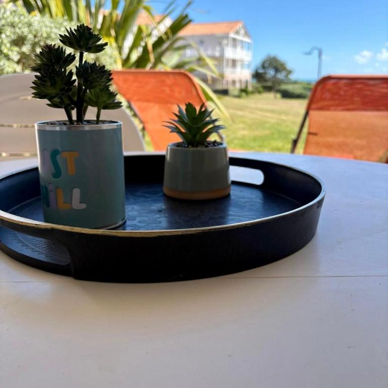 Garden&sea - 2-4pers - Piscine et jardin vue mer - Apartment mit 2 Schlafzimmern - 11