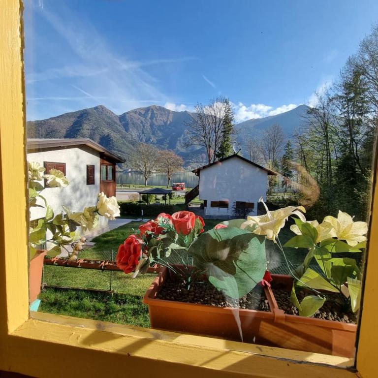 Bungalow Tirolese - Bungalow 2 Chambres - 48