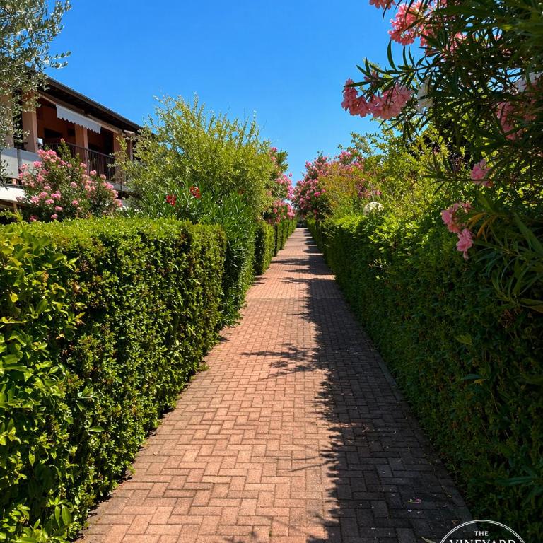 The Vineyard Lake House - Desenzano del Garda - Appartamento con 1 Camera da Letto - 7