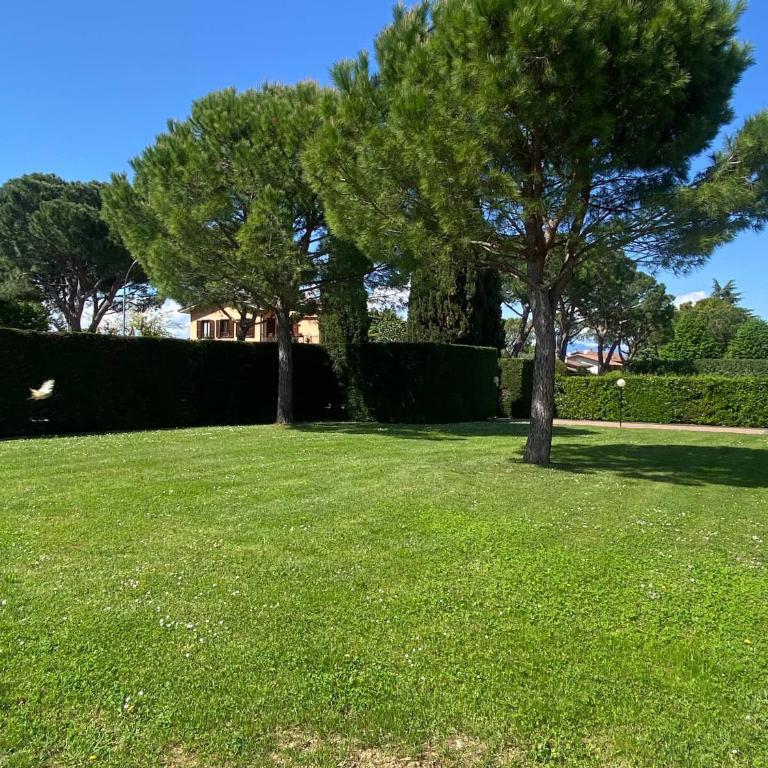 The Vineyard Lake House - Desenzano del Garda - Appartamento con 1 Camera da Letto - 5
