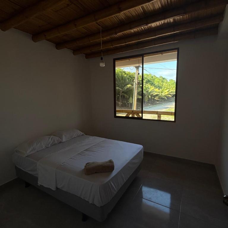 Habitaciones privadas en apartamento compartido - Three-Bedroom Apartment - 12