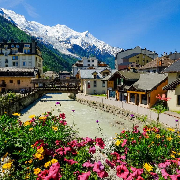 Appartement Belle Epoque - Happy Rentals - Appartamento con Vista Montagna - 18