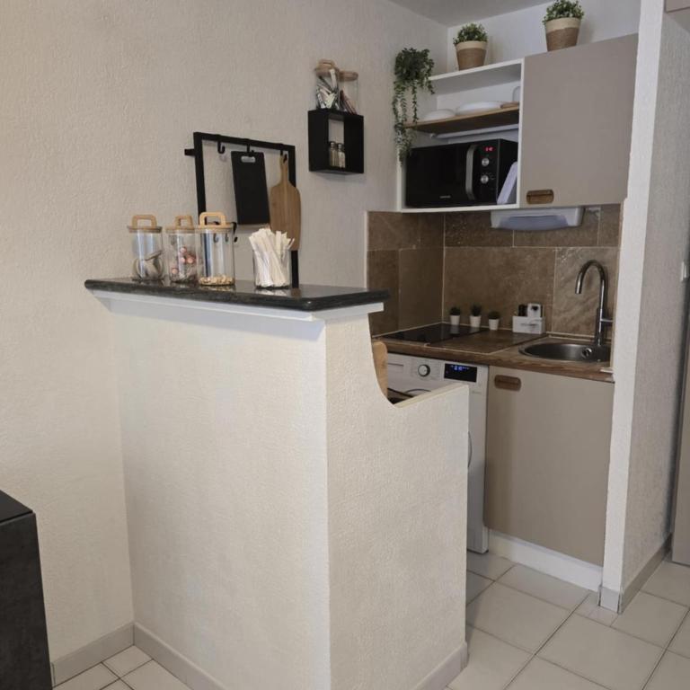 Studio rez de jardin avec piscine Argeles sur mer 4 personnes - Appartement 1 Chambre - 2