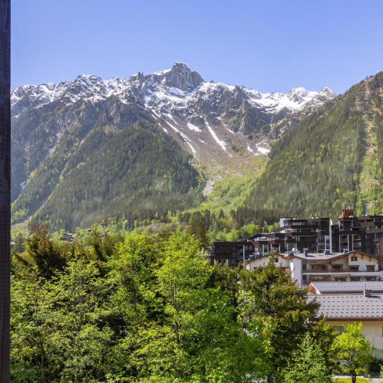 Chamonix Sud - Forclaz 213 - happy Rentals - Studio - 11
