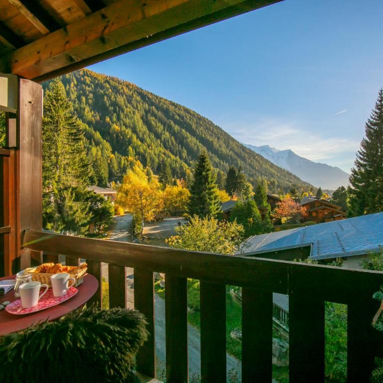 Résidence La Verte 23 ski in ski out - Happy Rentals - Appartamento con Vista Montagna - 2