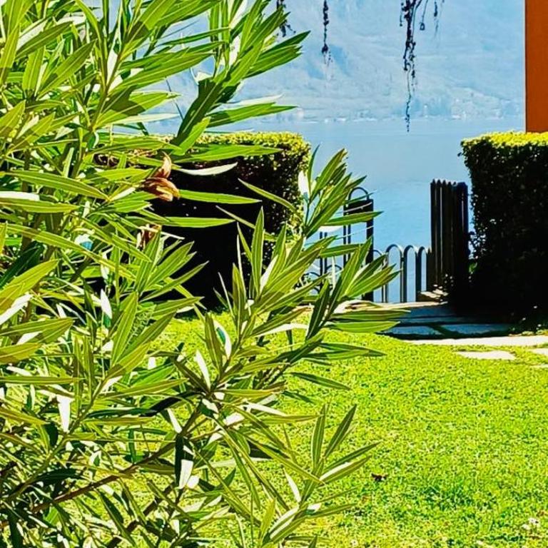 Renzo - One-Bedroom Apartment - 6
