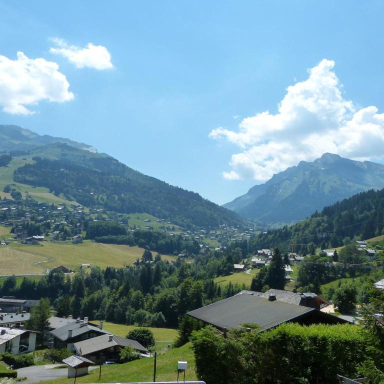 Appartement 3*** calme avec animaux admis et parking, proche pistes à La Clusaz - FR-1-304-107 - Appartement (4 Adultes) - 6