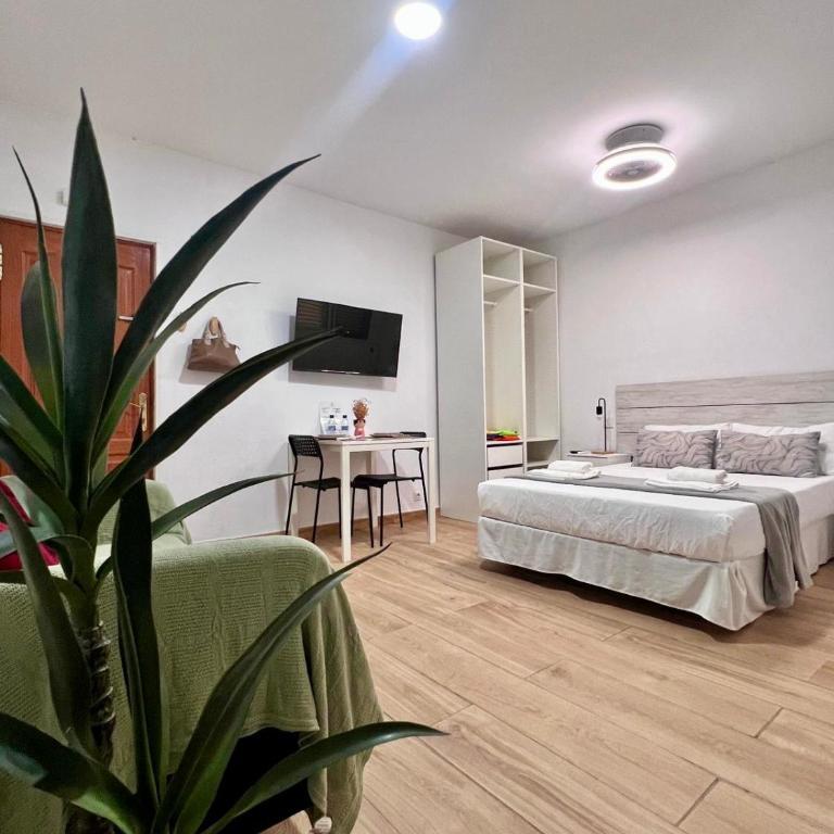 Riquiño-Estudio playa Canteras - Apartamento de 1 dormitorio - 1