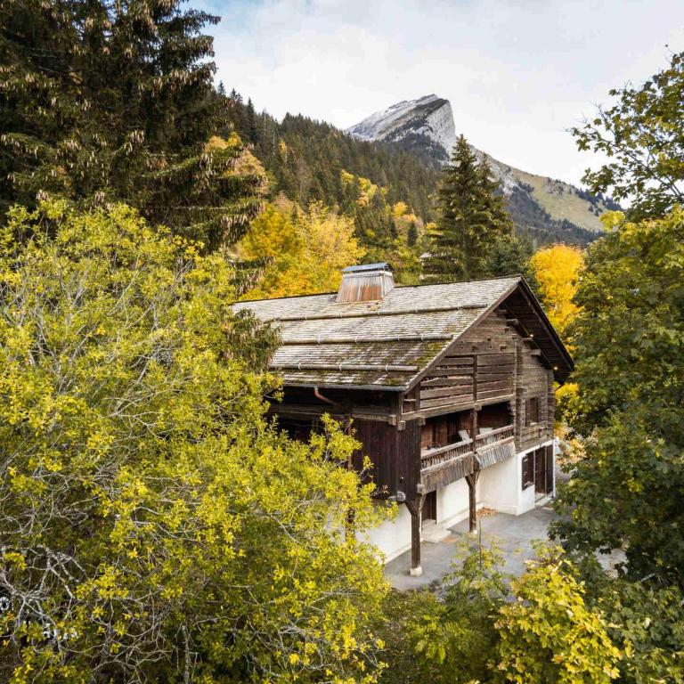 Chalet savoyard rénové, 10 pers, proche pistes, animaux admis - FR-1-304-162 - Chalet (10 Adults) - 6