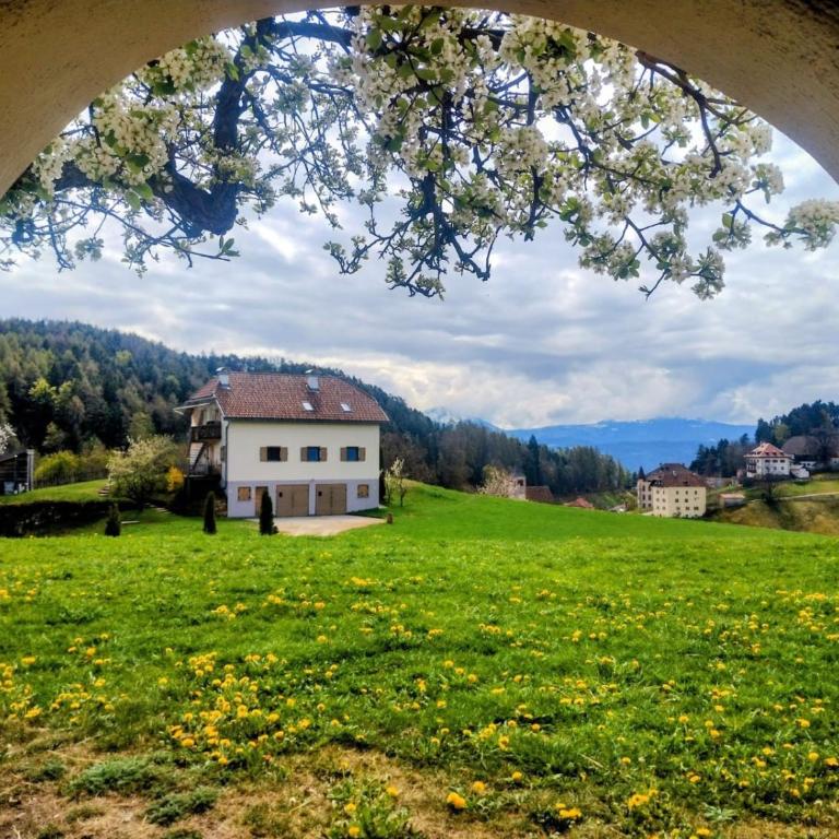 Aschnerhof Auf´m Egg - Appartamento con 1 Camera da Letto e Vista Giardino - 35