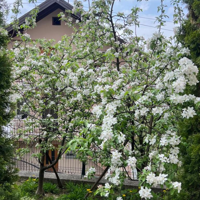 Behar Apartment with City View - Apartman sa 1 Spavaćom Sobom - 11