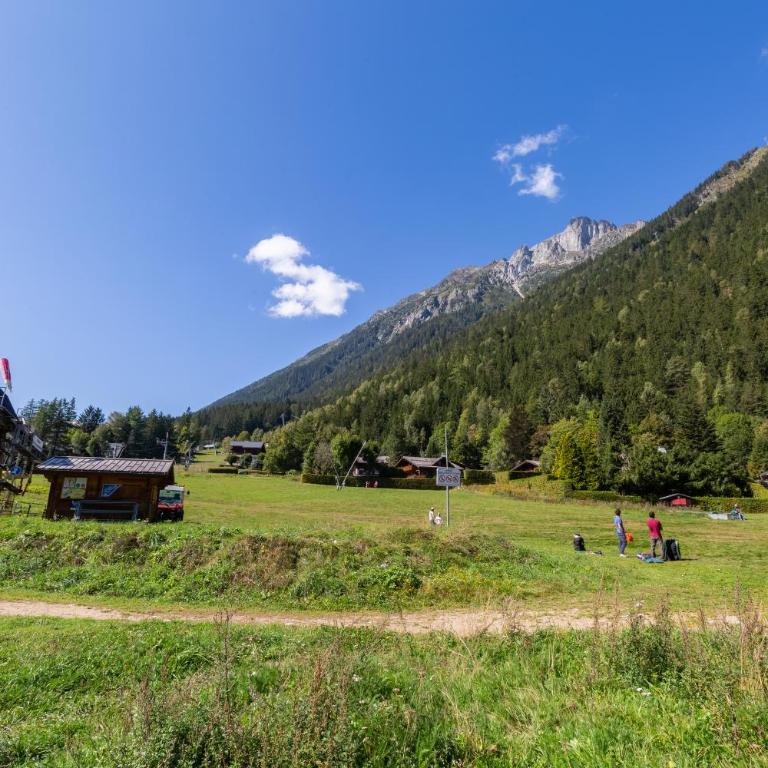 Appartement Lachenal 209A - Happy Rentals - Appartement avec Vue sur la Montagne - 22
