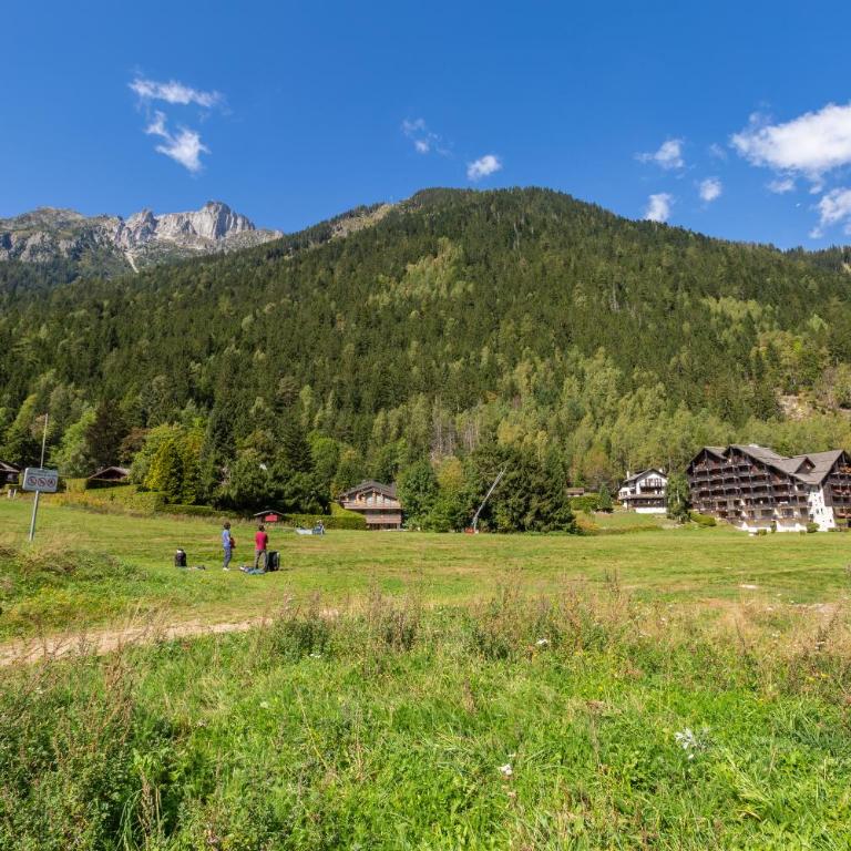 Appartement Lachenal C103 - Happy Rentals - Studio mit Balkon - 9