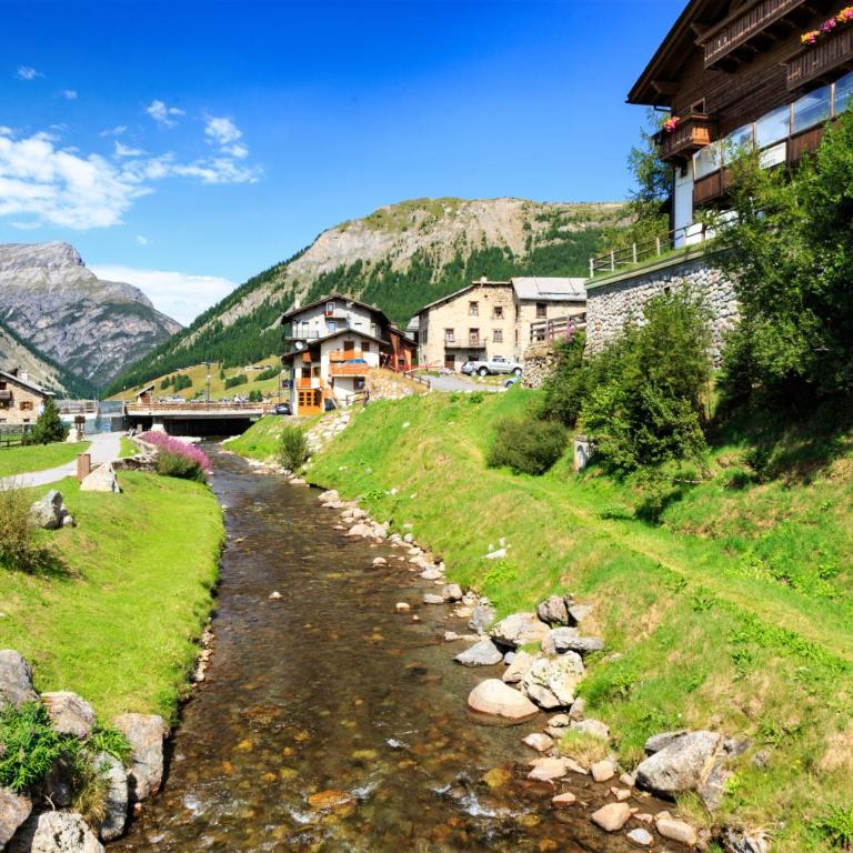 Marlies Ski in - Ski out 50m - Happy Rentals - Appartamento - 11