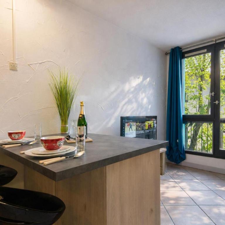 Chamonix Sud - Balme 111 - Happy Rentals - Monolocale con Vista Montagna - 4