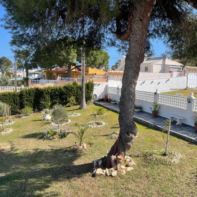 Villa Hakim - Villa - 7