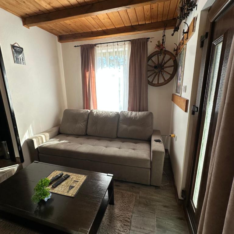 Vila Golden Queen Zlatibor - One-Bedroom House - 9