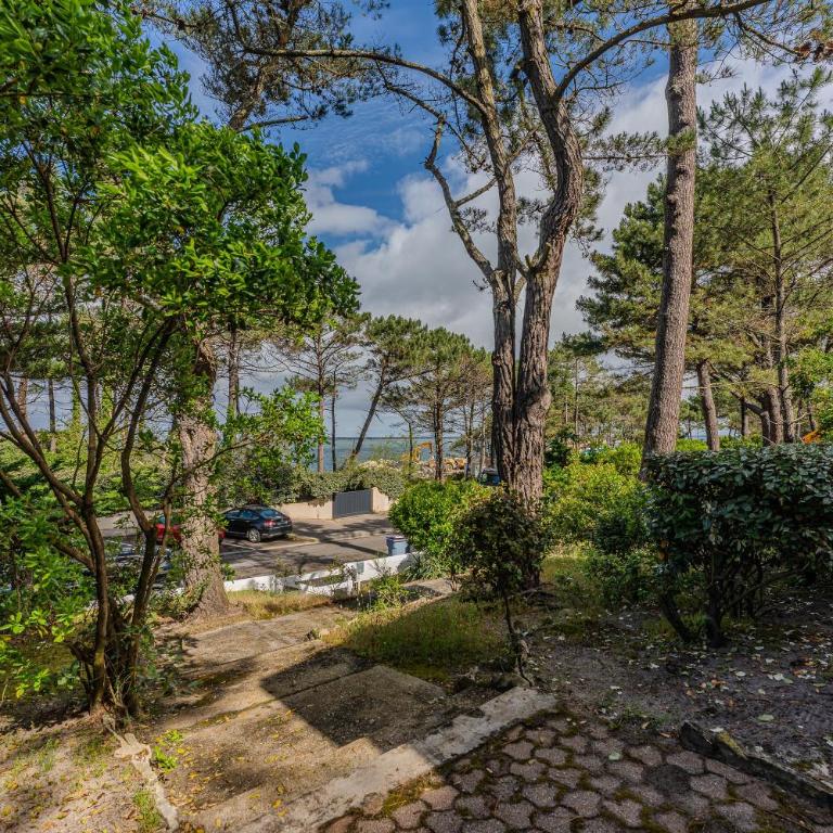 Pyla Sur Mer Villa 150m Vue Bassin - Casa Vacanze - 29