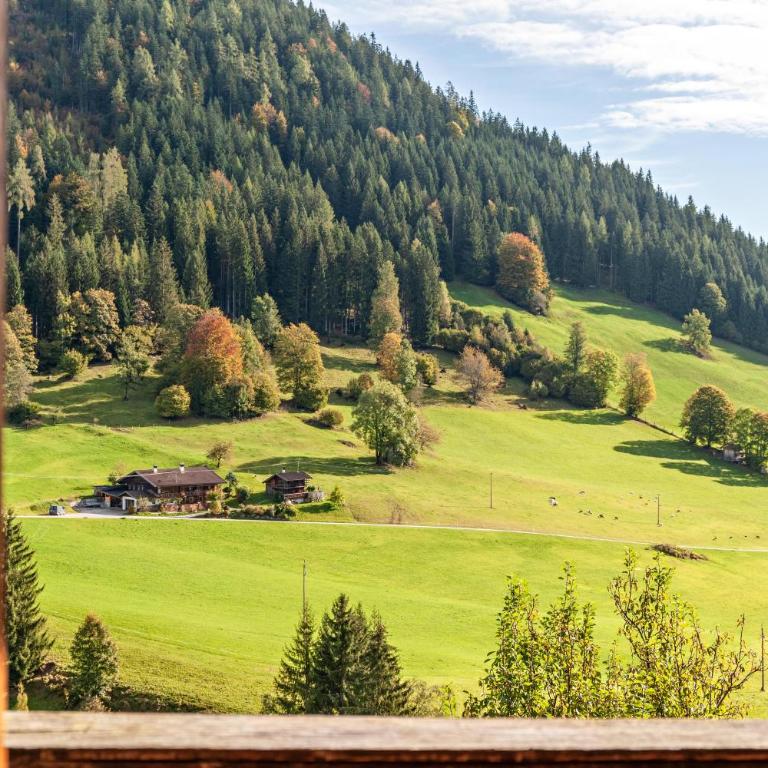 Zauberhütte Wildschönau - Superior Apartment mit 1 Schlafzimmer und Balkon - 2