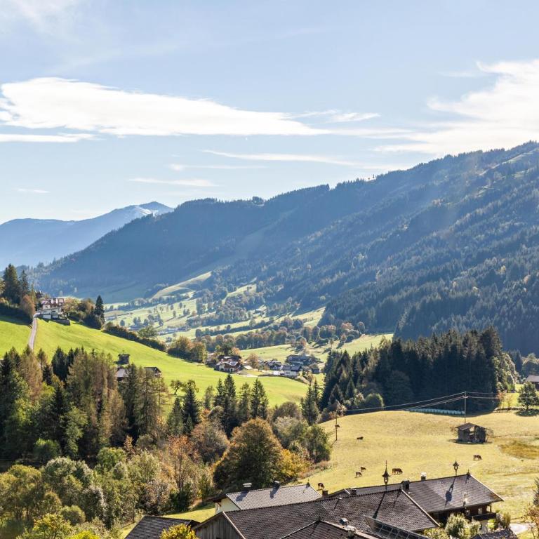 Zauberhütte Wildschönau - Superior Apartment mit 1 Schlafzimmer und Balkon - 23