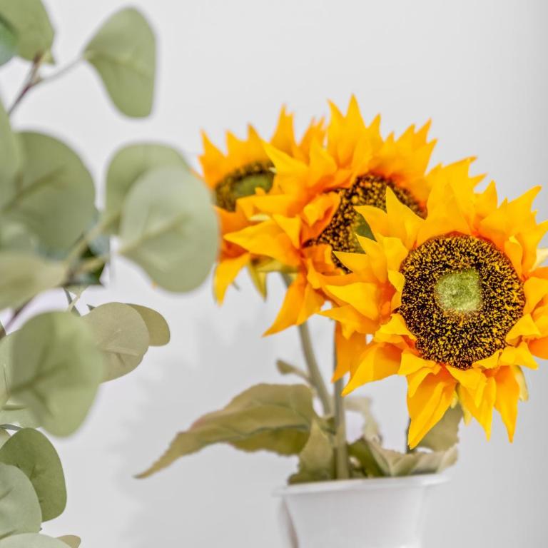 Sunflower Avenida - Apartamento Premium de 3 dormitorios con balcón - 12