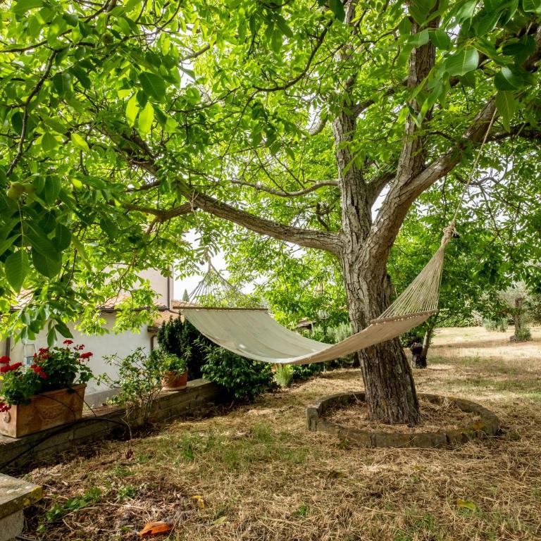 Casaletto della musica - Casa con 1 Camera da Letto - 19