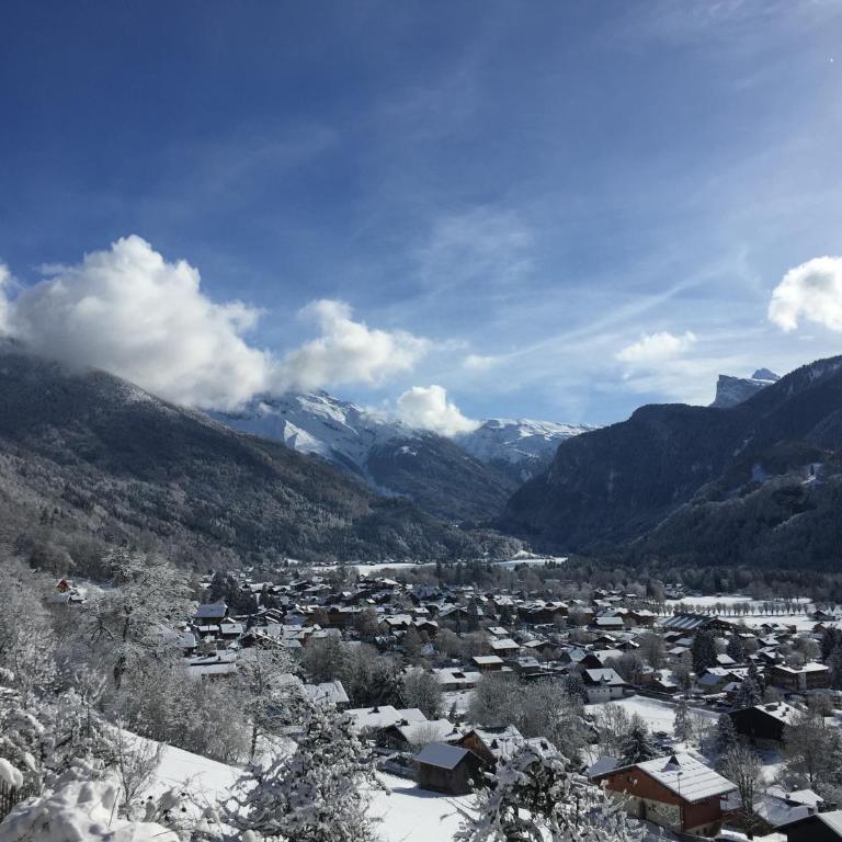Appartement Samoëns - Appartamento Superior con 1 Camera da Letto e Balcone - 20