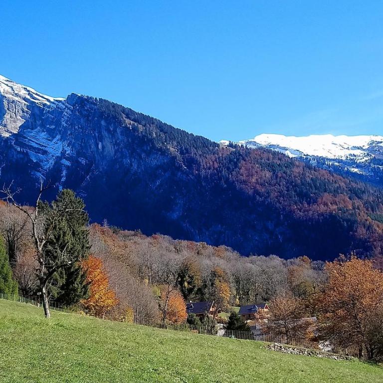 Appartement Samoëns - Appartamento Superior con 1 Camera da Letto e Balcone - 22
