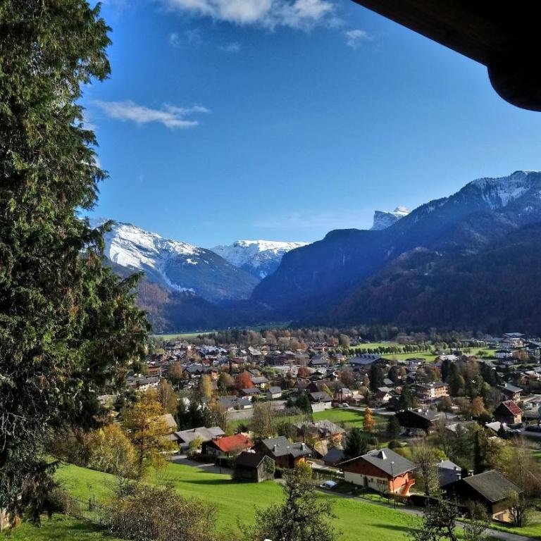 Appartement Samoëns - Appartamento Superior con 1 Camera da Letto e Balcone - 23