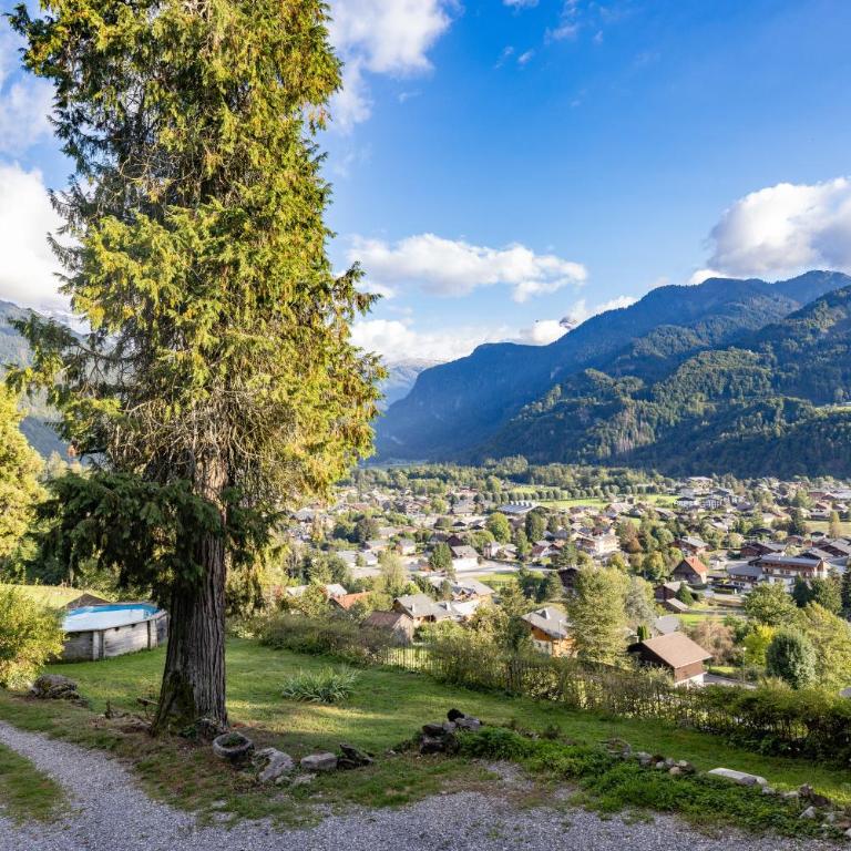 Appartement Samoëns - Appartamento Superior con 1 Camera da Letto e Balcone - 17