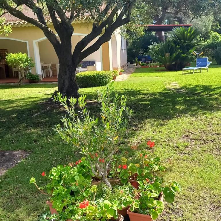 Villa Marilisa - Appartamento con 3 Camere da Letto - 38