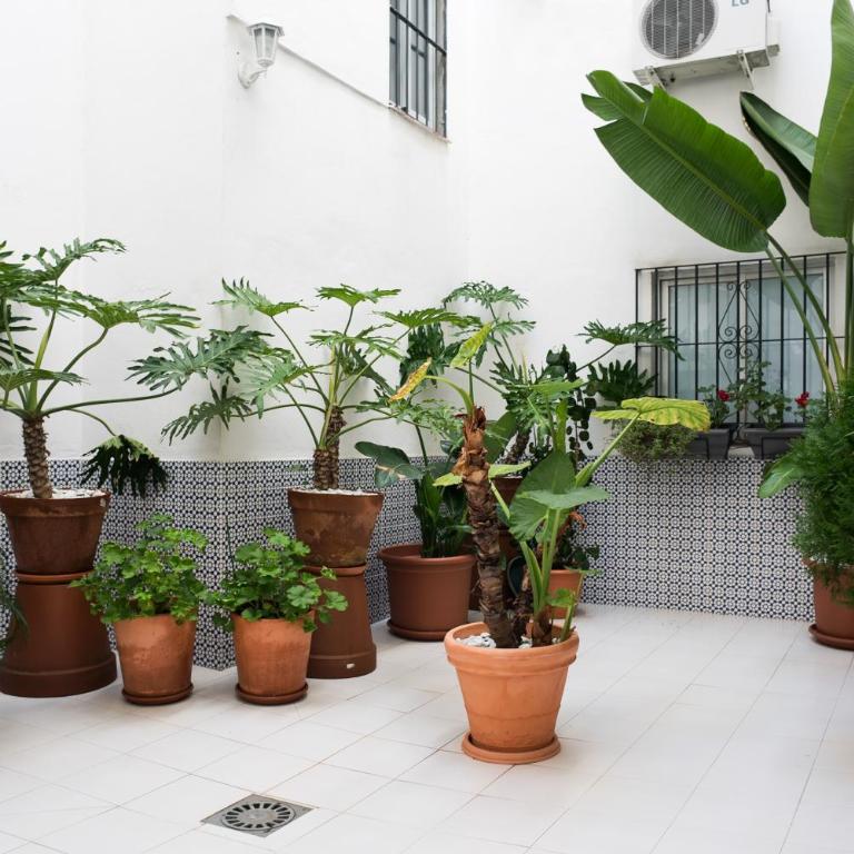 UrbanChicMalaga 3 Bedroom Spacious Quiet Historic Malaga Apt - Apartamento de 3 dormitorios - 32